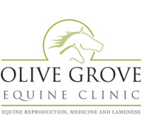 Olive Grove Equine Clinic